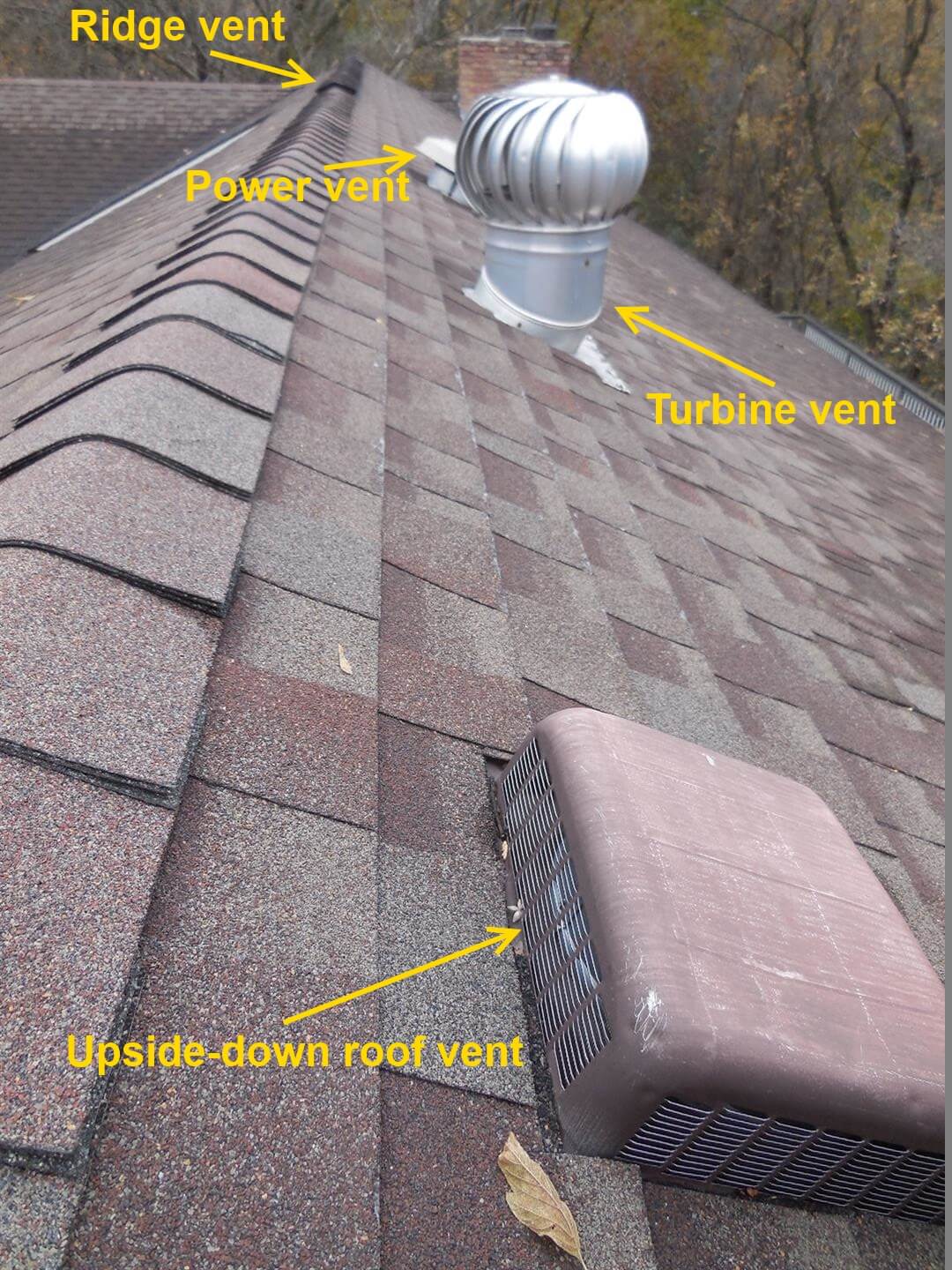Roof Problems Solutions