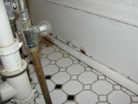 Interior - rotted trim behind tub