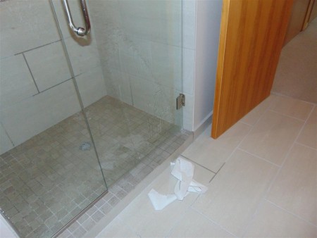 Leaking shower door