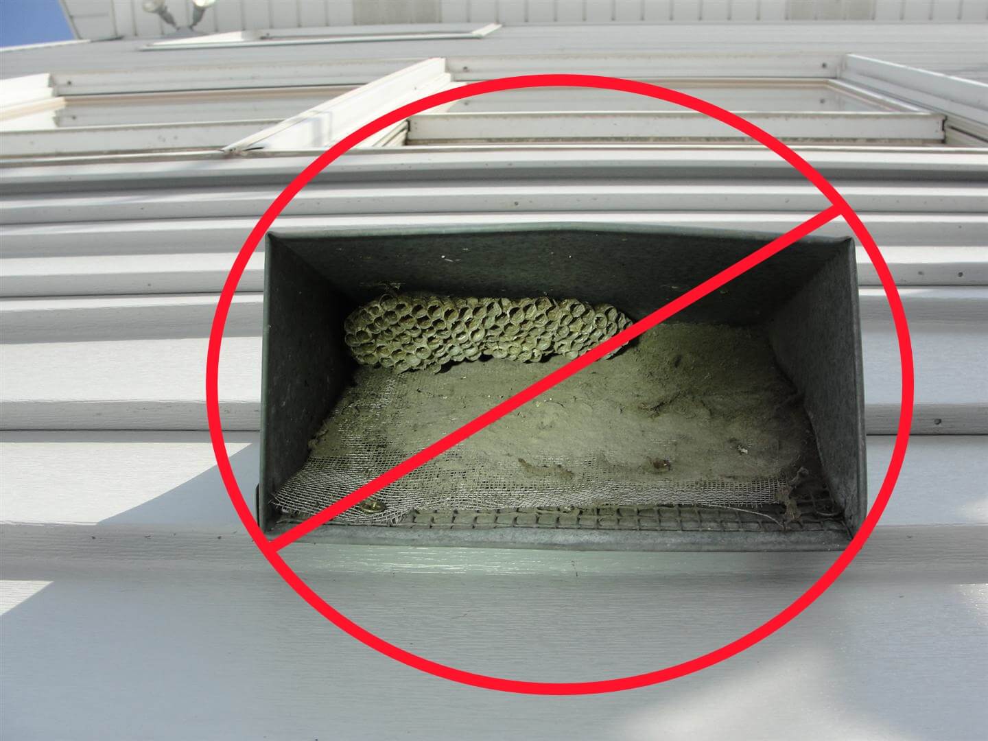 Window screen at combustion air intake