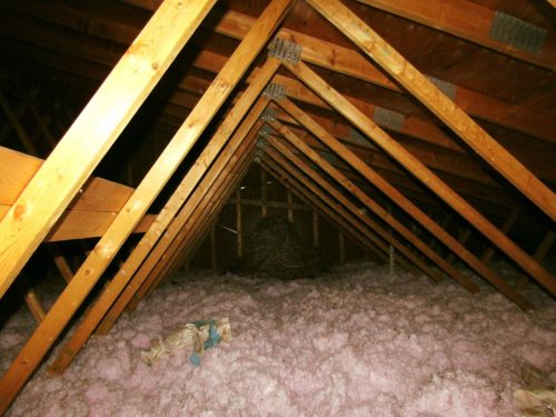 nest in attic