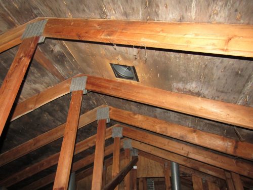 Mold in attic